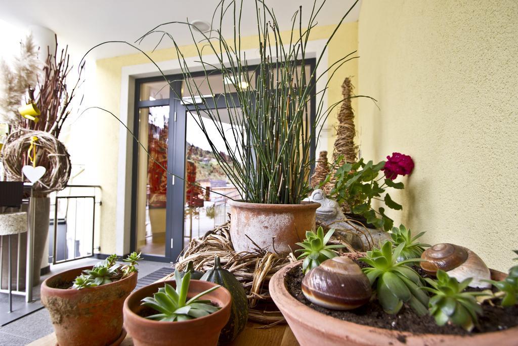 Hotel Zirngast 3*